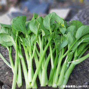 Chou Choy Sum à grosses tiges