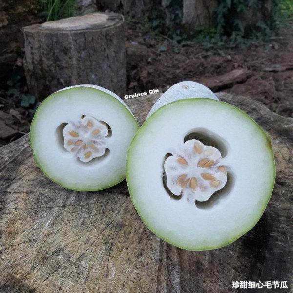 La chair des melon d'hiver Chieh Qua