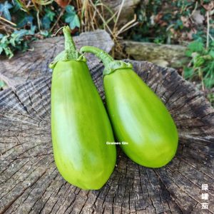 2 aubergines vertes Green Diamond
