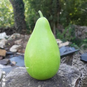 une gourde bouteille