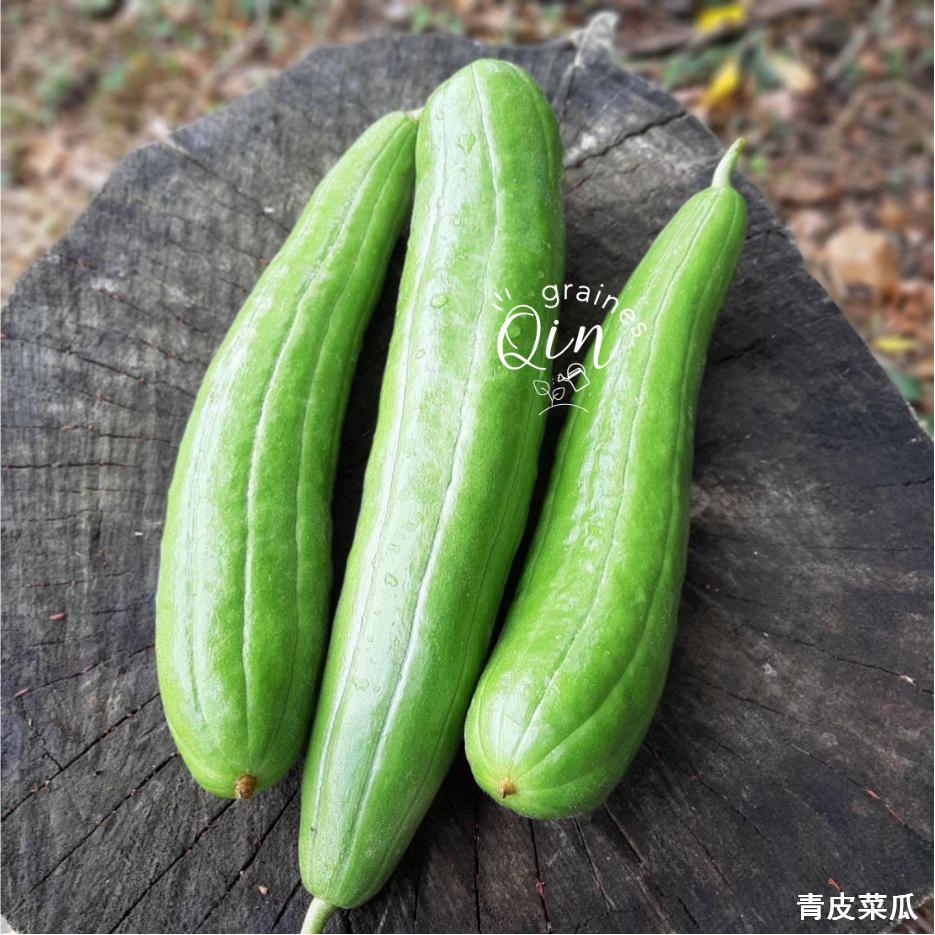 3 melons de chine sur une tronc d'arbre